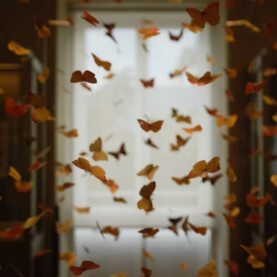 Zwischen Kopf und Bauch – Wie Gefühle den Körper bewegen